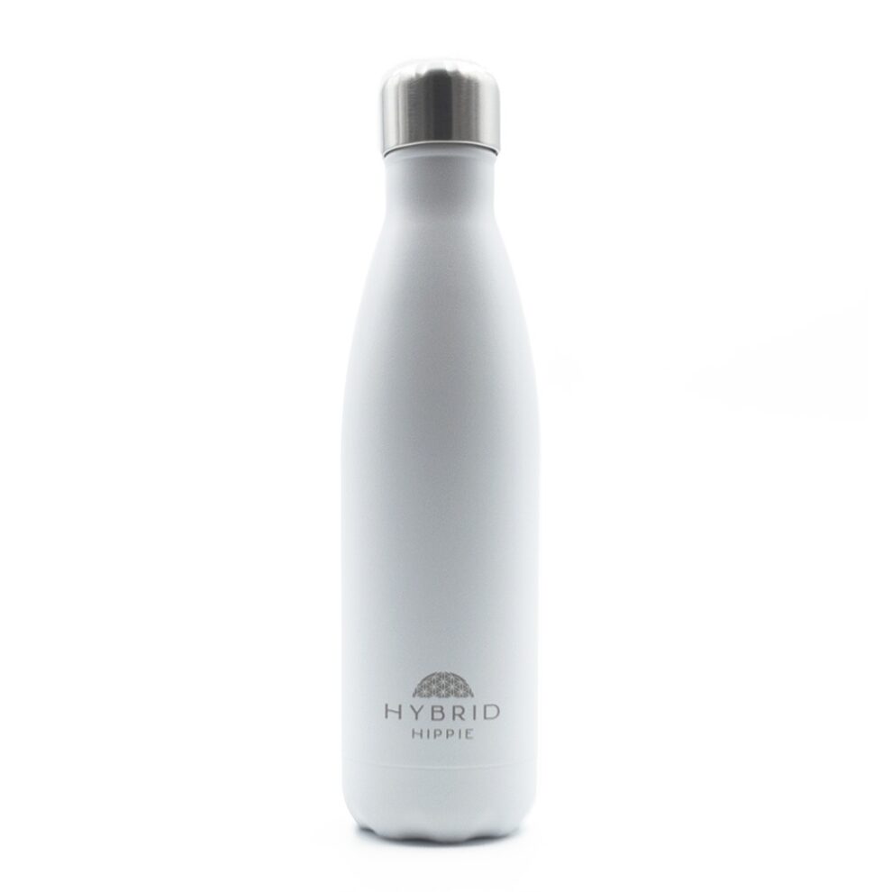 Silver Stainless Steel Reusable Water Bottle • Hybrid Hippie Eco Store