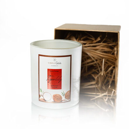 Tigerlily Sweet Orange Candle 001